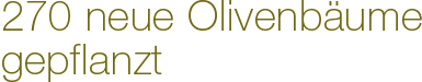 270 neue Olivenbume gepflanzt